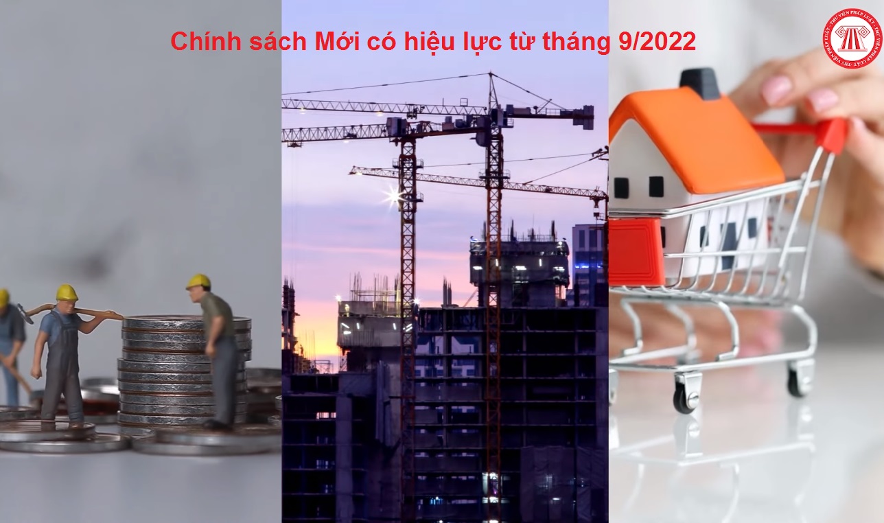 Chính Sách Mới Có Hiệu Lực Từ Tháng 9/2022