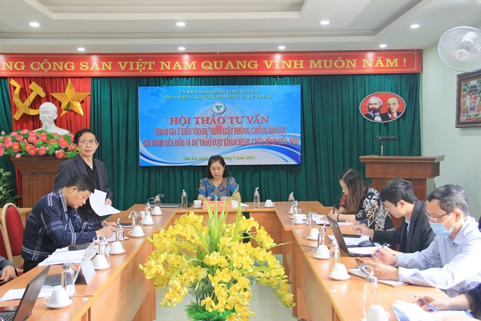 Hội thảo tư vấn tham gia ý kiến đối với Luật Phòng, chống bạo lực gia đình (sửa đổi) và Luật Khám bênh, chữa bệnh (sửa đổi)