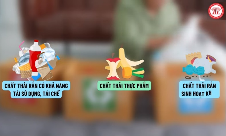 Phân loại rác thế nào để không bị xử phạt?