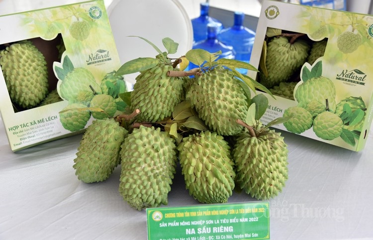 Description: Tỉnh Sơn La Tôn vinh 19 sản phẩm nông nghiệp tiêu biểu
